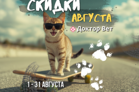 Августовский ценопад в «Доктор Вет»