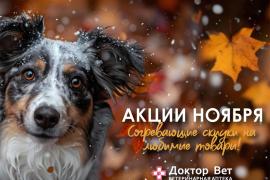 Согревающие скидки в «Доктор Вет»!