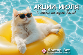 На одной волне с «Доктор Вет»