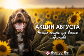 Балуйте своих любимцев с «Доктор Вет»!