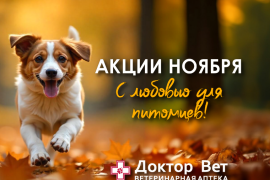 Для ваших хвостиков с любовью от «Доктор Вет»