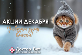 Встречаем новый год с «Доктор Вет»