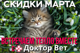 Встречаем весну вместе с «Доктор Вет»
