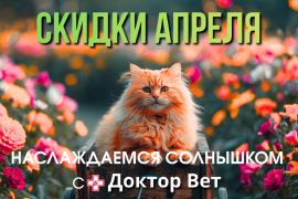 Наслаждаемся теплом с «Доктор Вет»