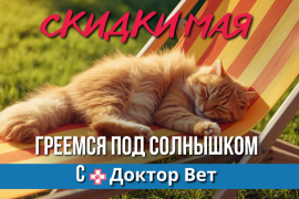 ЗаМАЯчило тепло в «Доктор Вет»