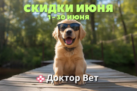 Лето, солнце и зоо-скидки в «Доктор Вет»!