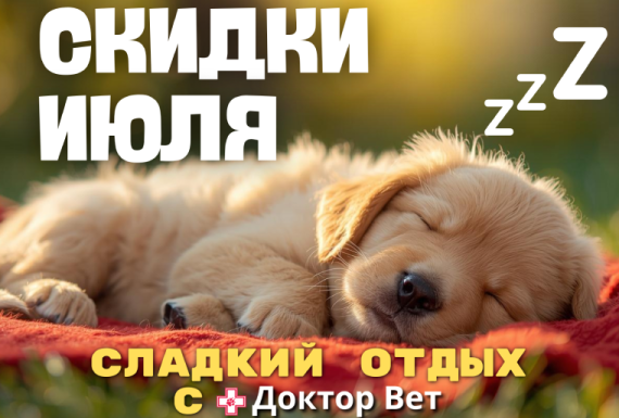 Летние скидки в «Доктор Вет»: порадуйте питомцев с выгодой