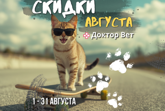 Августовский ценопад в «Доктор Вет»