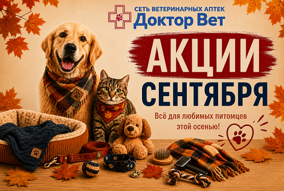 Осень начинается с заботы в «Доктор Вет»