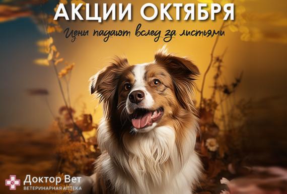 Скидки октября для любимых покупателей!