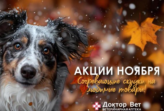 Согревающие скидки в «Доктор Вет»!