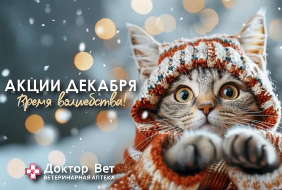 Встречаем новый год с «Доктор Вет»!