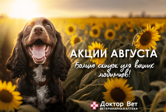 Балуйте своих любимцев с «Доктор Вет»!