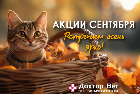 Встречаем осень ярко с «Доктор Вет»