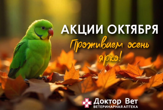 Забота о хвостиках вместе с «Доктор Вет»