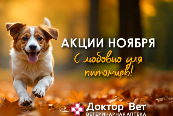 Для ваших хвостиков с любовью от «Доктор Вет»