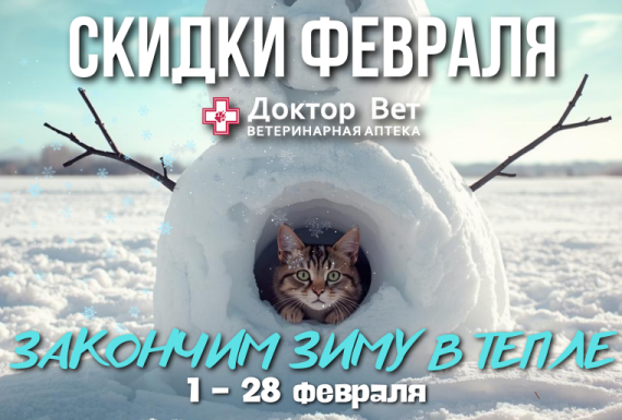Продолжаем зиму с «Доктор Вет»!