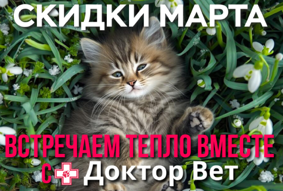 Встречаем весну вместе с «Доктор Вет»