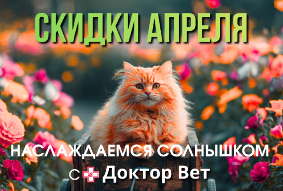 Наслаждаемся теплом с «Доктор Вет»