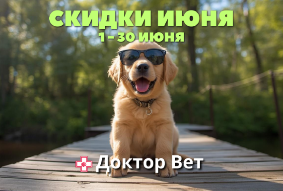Лето, солнце и зоо-скидки в «Доктор Вет»!